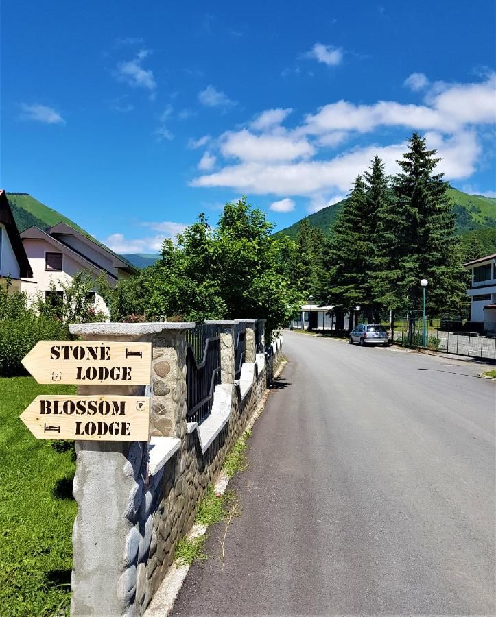 Апартаменты Stone Lodge Колашин-37